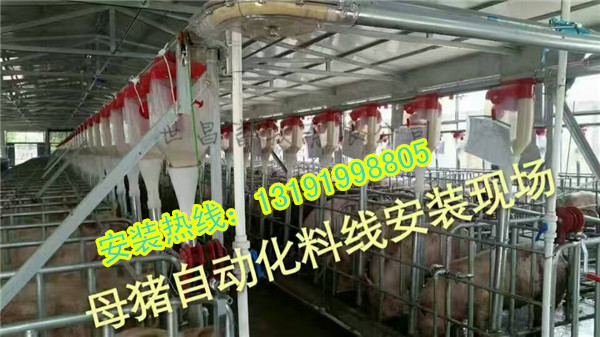 豬場自動化上料設(shè)備
