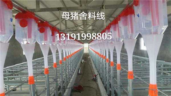 全自動豬料線設計圖紙