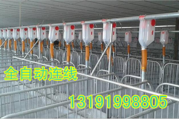 全自動化豬場下料系統(tǒng)