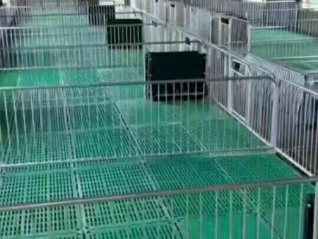 新型定制小豬保育床