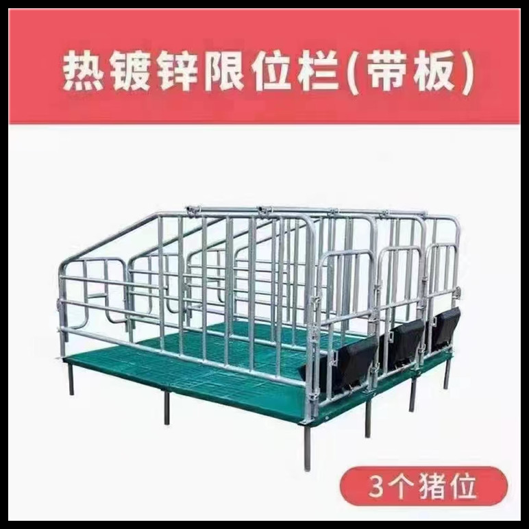 可定制母豬定位欄