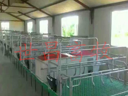 鍍鋅管高培產(chǎn)床